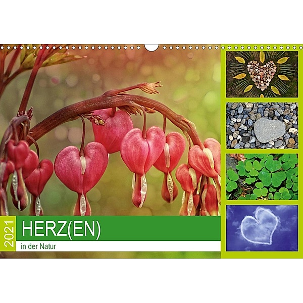 Herz(en) - in der Natur (Wandkalender 2021 DIN A3 quer), Susan Michel /CH