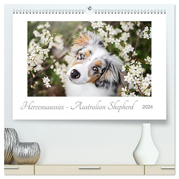 Herzensaussies - Australian Shepherd (hochwertiger Premium Wandkalender 2024 DIN A2 quer), Kunstdruck in Hochglanz, Madlen Kudla