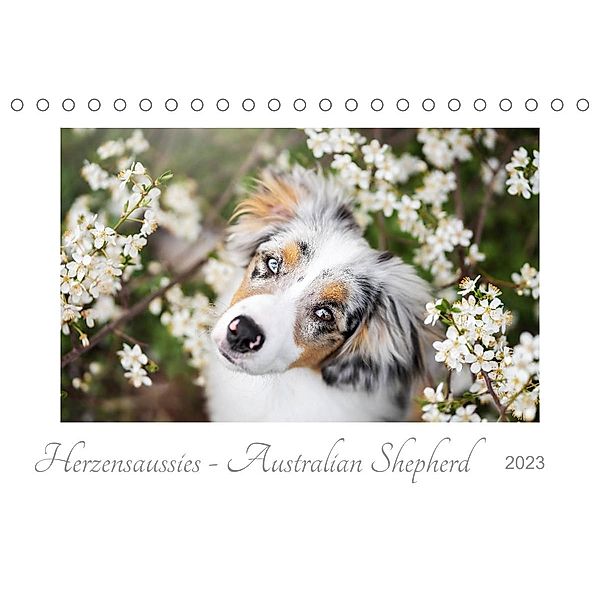 Herzensaussies - Australian Shepherd (Tischkalender 2023 DIN A5 quer), Madlen Kudla