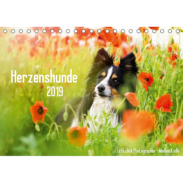 Herzenshunde 2019 (Tischkalender 2019 DIN A5 quer), Madlen Kudla