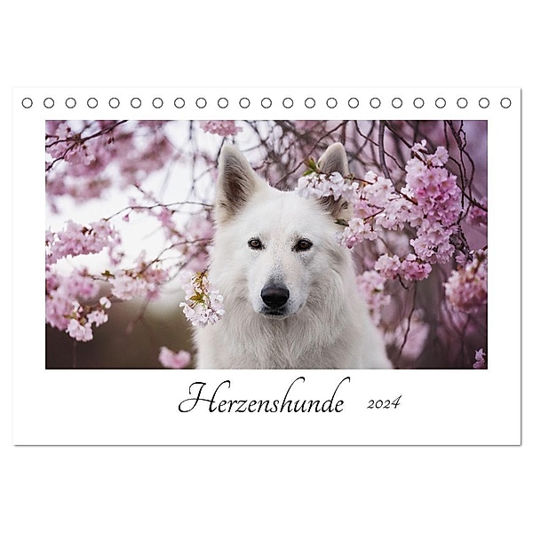 Herzenshunde 2024 (Tischkalender 2024 DIN A5 quer), CALVENDO Monatskalender, Madlen Kudla - Photographie