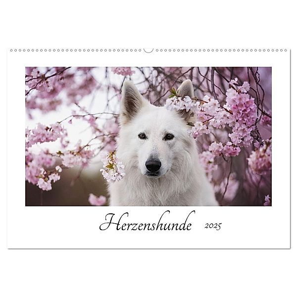 Herzenshunde 2025 (Wandkalender 2025 DIN A2 quer), CALVENDO Monatskalender, Calvendo, Madlen Kudla - Photographie