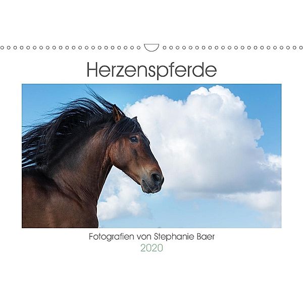 Herzenspferde 2020 (Wandkalender 2020 DIN A3 quer), Stephanie Baer