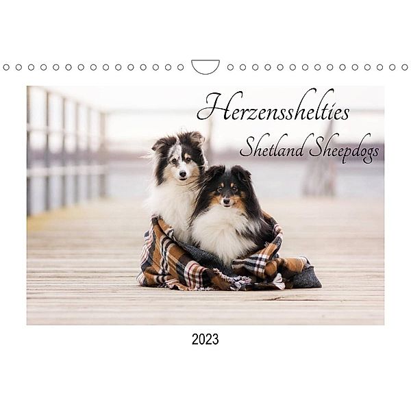 Herzensshelties - Shetland Sheepdogs (Wandkalender 2023 DIN A4 quer), Madlen Kudla