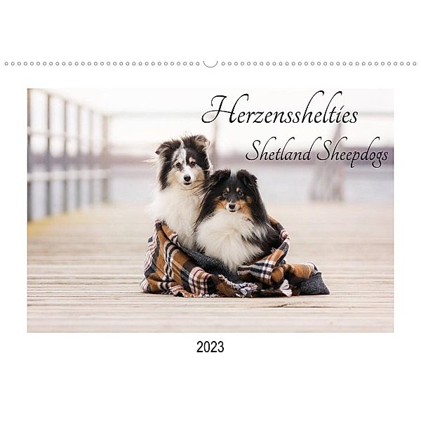 Herzensshelties - Shetland Sheepdogs (Wandkalender 2023 DIN A2 quer), Madlen Kudla