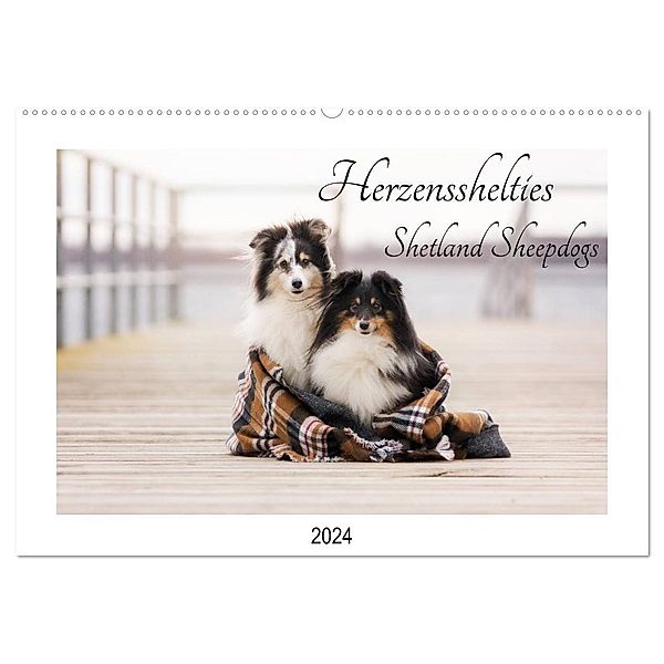 Herzensshelties - Shetland Sheepdogs (Wandkalender 2024 DIN A2 quer), CALVENDO Monatskalender, Madlen Kudla