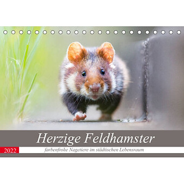 Herzige Feldhamster - farbenfrohe Nagetiere im städtischen LebensraumAT-Version  (Tischkalender 2022 DIN A5 quer), Perdita Petzl