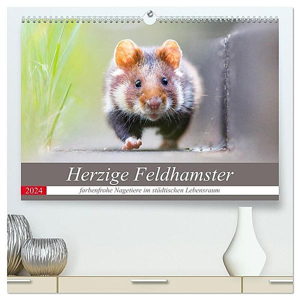 Herzige Feldhamster - farbenfrohe Nagetiere im städtischen Lebensraum (hochwertiger Premium Wandkalender 2024 DIN A2 quer), Kunstdruck in Hochglanz, Perdita Petzl