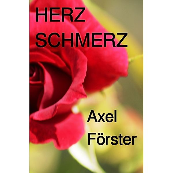 Herzschmerz, Axel Förster