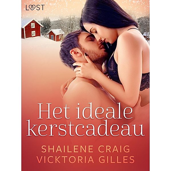 Het ideale kerstcadeau - erotisch kerstverhaal, Vicktoria Gilles, Shailene Craig