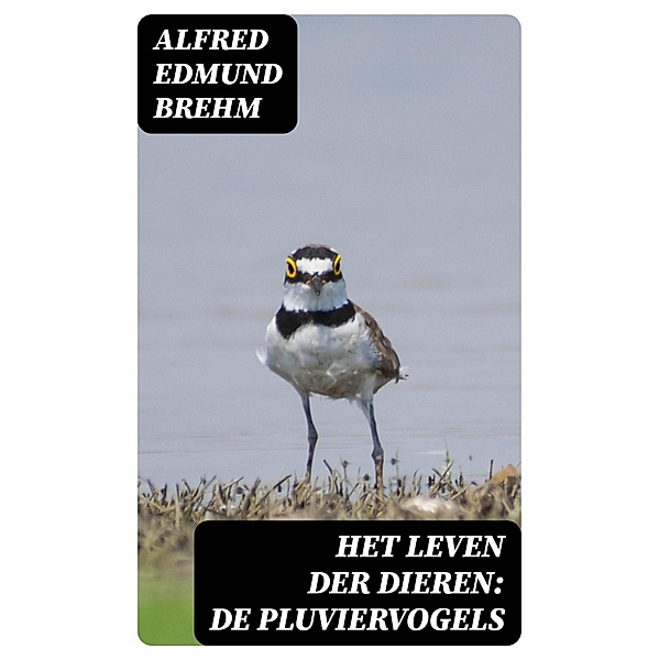 Het Leven der Dieren: De Pluviervogels, Alfred Edmund Brehm