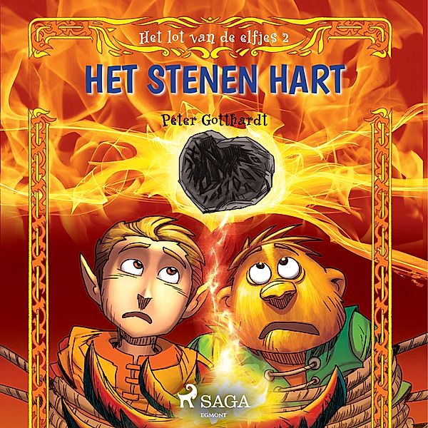 Het lot van de elfjes - 2 - Het lot van de elfjes 2 - Het stenen hart, Peter Gotthardt