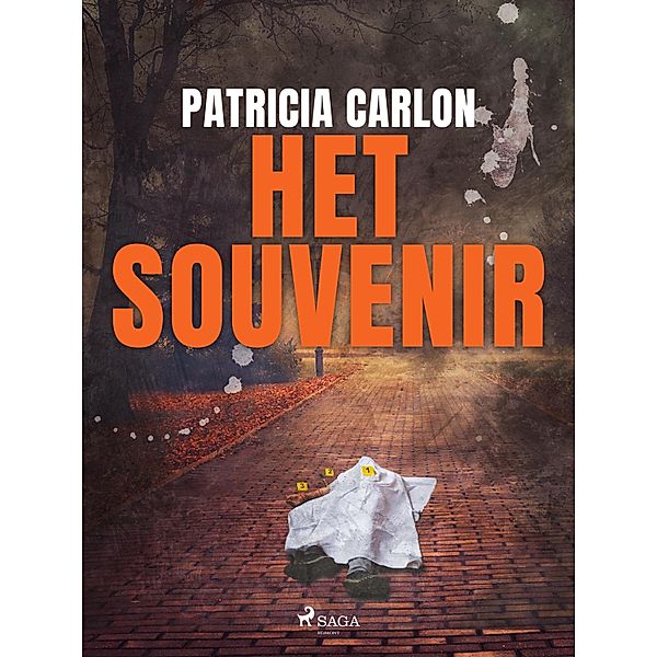 Het souvenir / Jefferson Shields Bd.1, Patricia Carlon