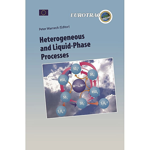 Heterogeneous and Liquid Phase Processes, C. Vinckier, P. Mirabel, C. Zetzsch, G. A. Salmon