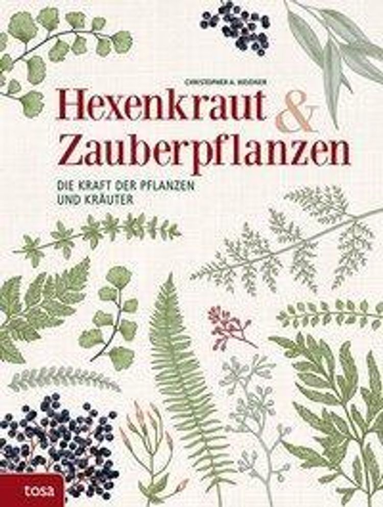 Hexenkraut & Zauberpflanzen Buch bei Weltbild.ch online bestellen