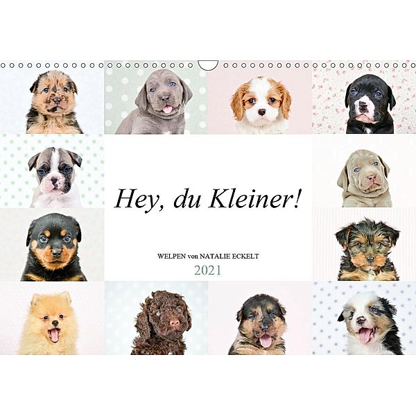 Hey, du Kleiner! (Wandkalender 2021 DIN A3 quer), Natalie Eckelt