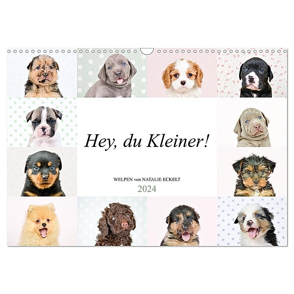 Hey, du Kleiner! (Wandkalender 2024 DIN A3 quer), CALVENDO Monatskalender, Natalie Eckelt