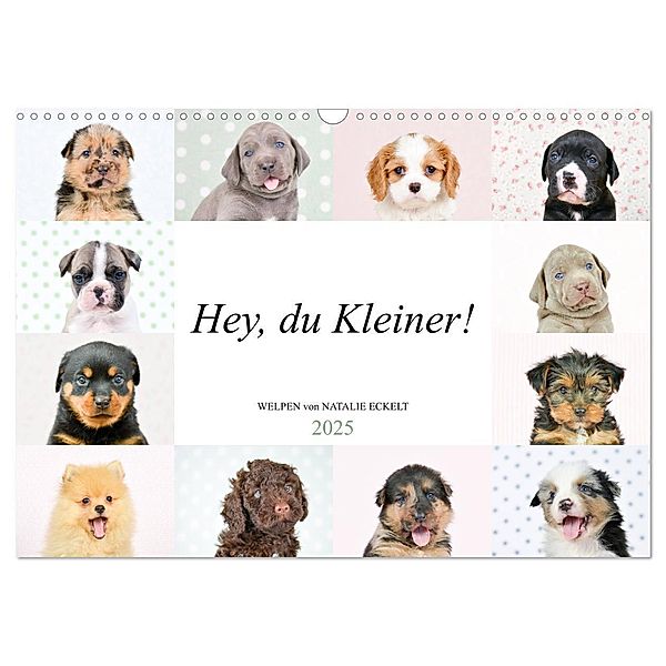 Hey, du Kleiner! (Wandkalender 2025 DIN A3 quer), CALVENDO Monatskalender, Calvendo, Natalie Eckelt