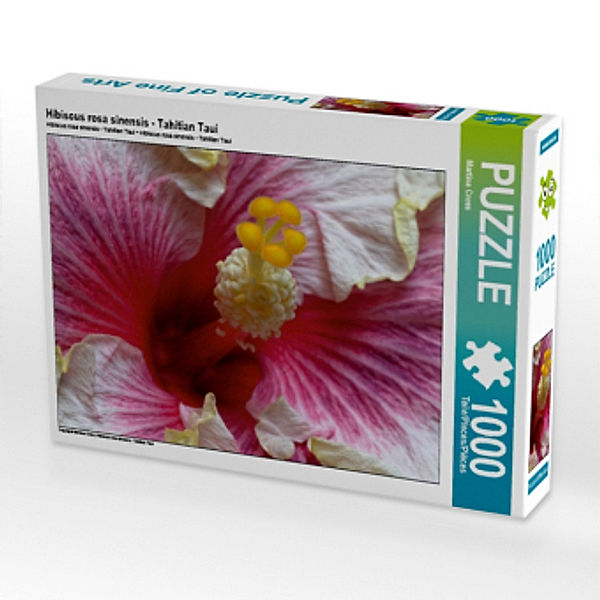 Hibiscus rosa sinensis - Tahitian Taui (Puzzle), Martina Cross