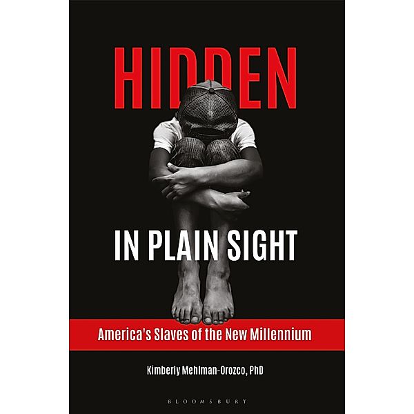 Hidden in Plain Sight, Kimberly Mehlman-Orozco
