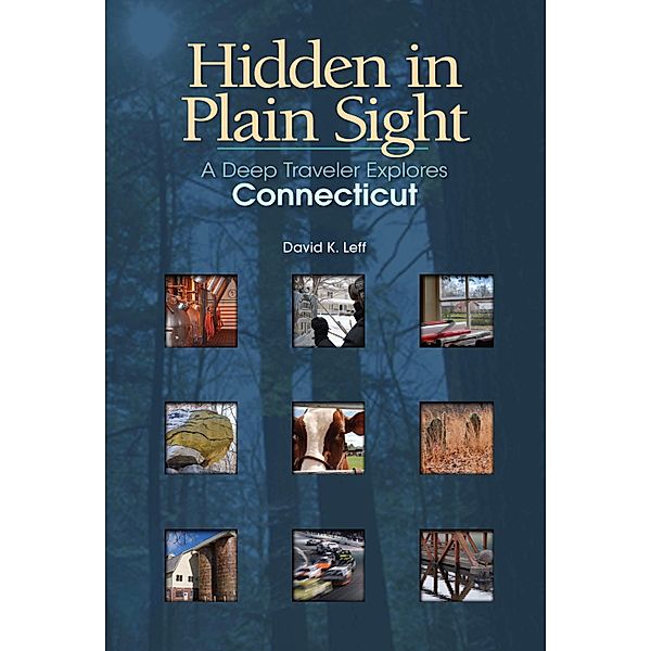 Hidden in Plain Sight / Garnet Books, David K. Leff