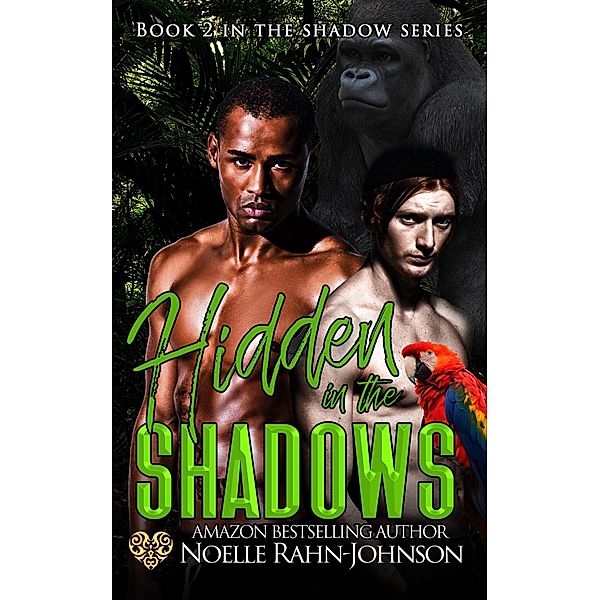 Hidden in the Shadows (Shadows Series, #2) / Shadows Series, Noelle Rahn-Johnson