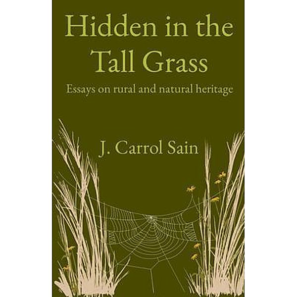 Hidden in the Tall Grass, Johnny Carrol Sain