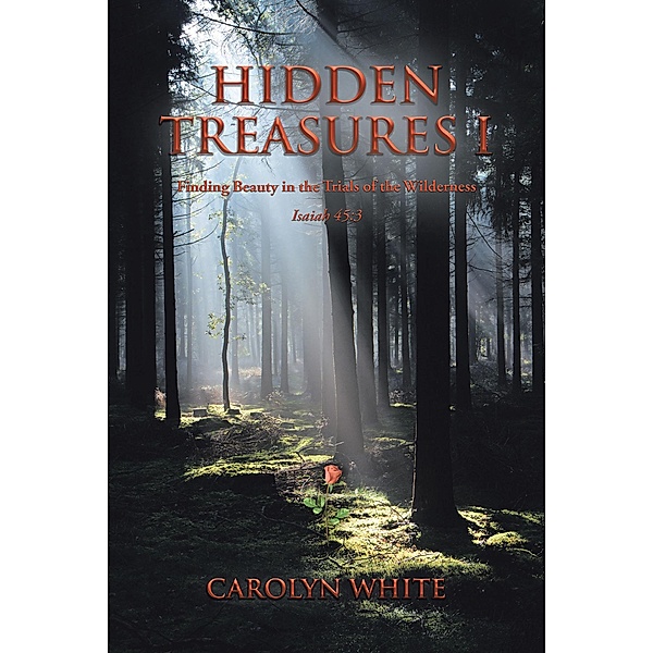 Hidden Treasures I, Carolyn White