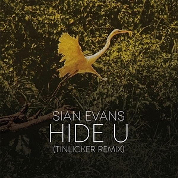 Hide U (Tinlicker Remix)/Because You Move Me, Sian Evans, Tinlicker