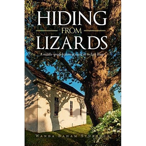 Hiding From Lizards, Wanda Baham Sturrock