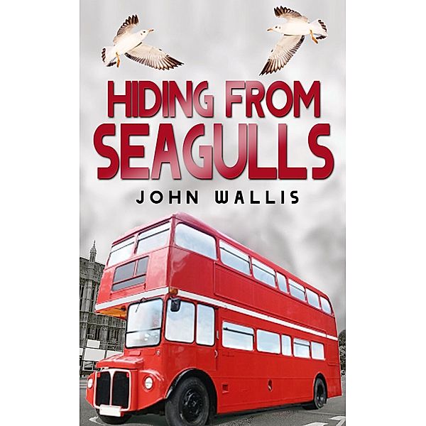 Hiding From Seagulls / Hiding From Seagulls, John Wallis