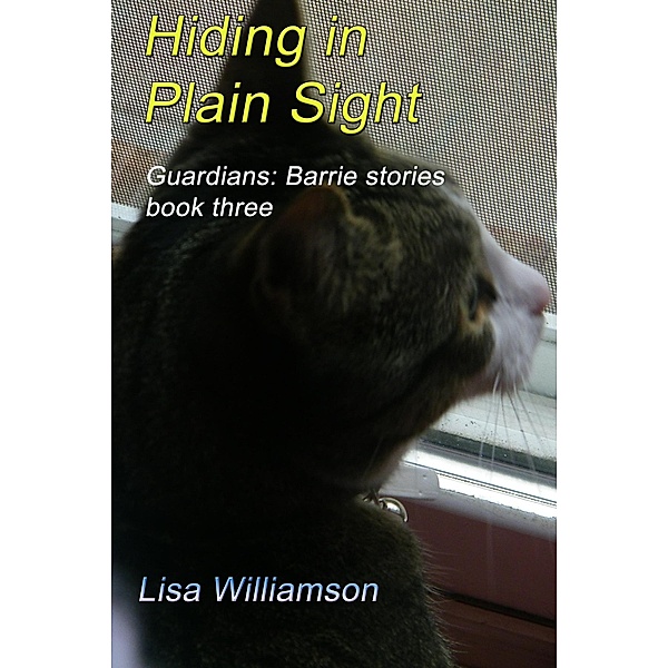Hiding in Plain Sight (Guardians: Barrie Tales, #3) / Guardians: Barrie Tales, Lisa Williamson