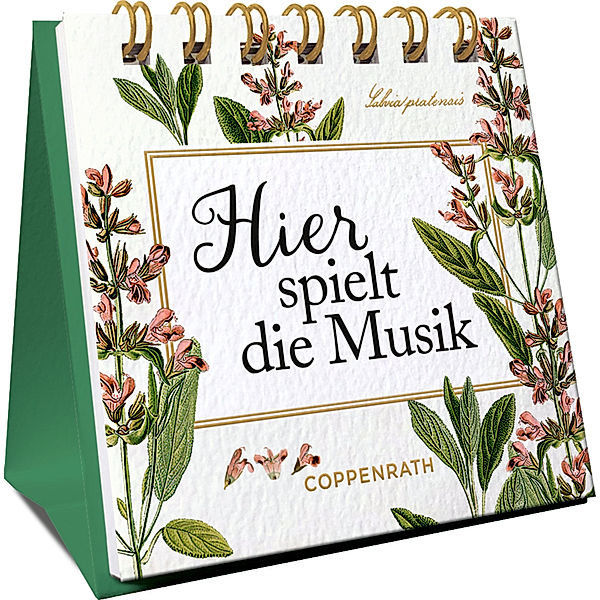 Hier spielt die Musik