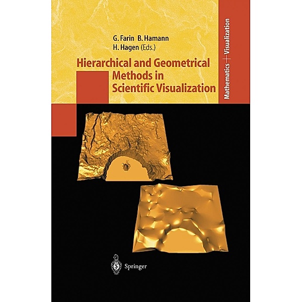 Hierarchical and Geometrical Methods in Scientific Visualization / Mathematics and Visualization