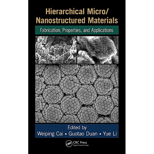 Hierarchical Micro/Nanostructured Materials, Weiping Cai, Guotao Duan, Yue Li