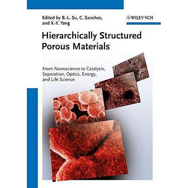 Hierarchically Structured Porous Materials