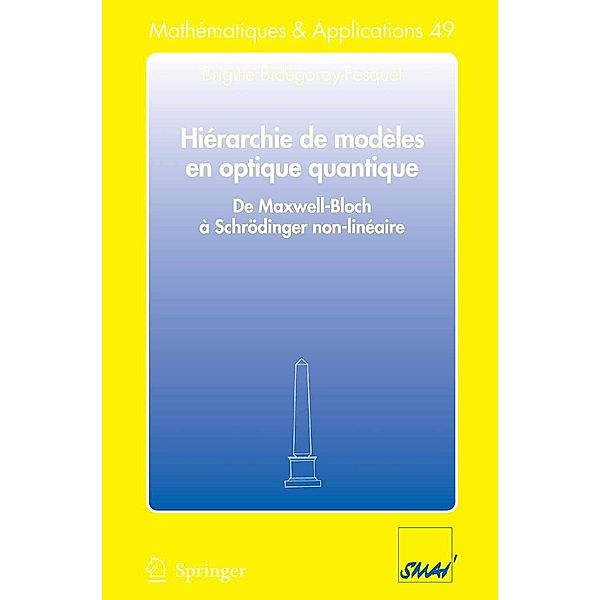 Hiérarchie de modèles en optique quantique / Mathématiques et Applications Bd.49, Brigitte Bidégaray-Fesquet