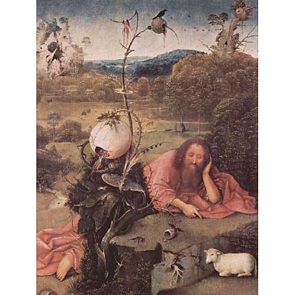 Hieronymus Bosch - Meditierender Hl. Johannes der Täufer - 2.000 Teile (Puzzle)