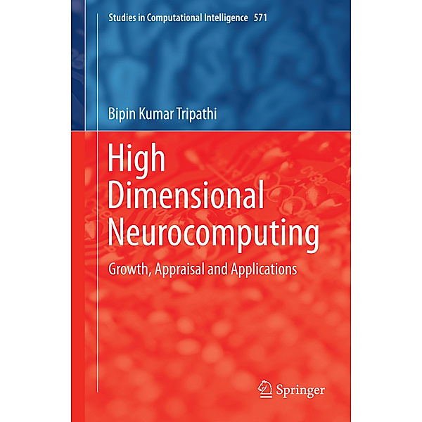 High Dimensional Neurocomputing, Bipin Kumar Tripathi