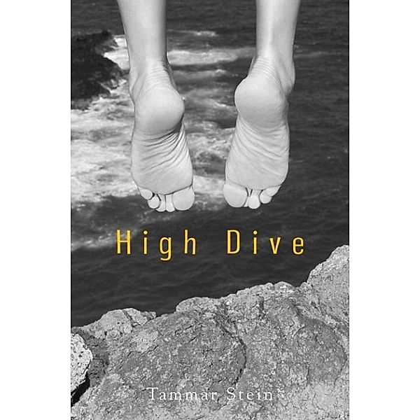 High Dive, Tammar Stein