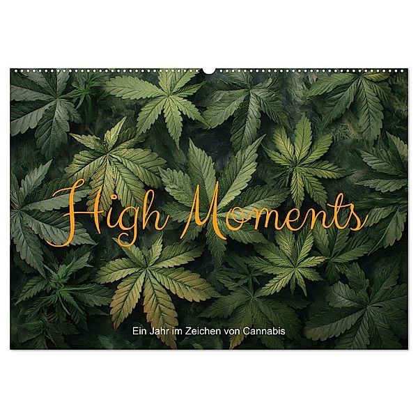 High Moments - Ein Jahr im Zeichen von Cannabis (Wandkalender 2025 DIN A2 quer), CALVENDO Monatskalender, Calvendo, artefacti