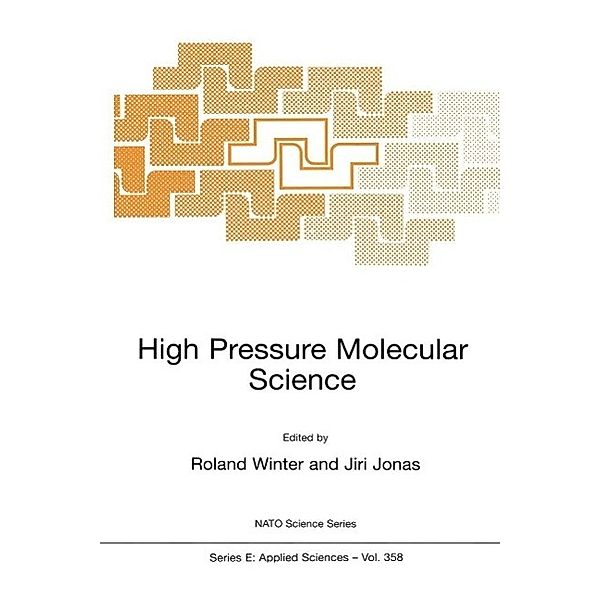 High Pressure Molecular Science / NATO Science Series E: Bd.358