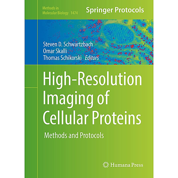 High-Resolution Imaging of Cellular Proteins