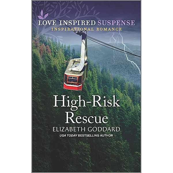 High-Risk Rescue / Honor Protection Specialists Bd.1, Elizabeth Goddard