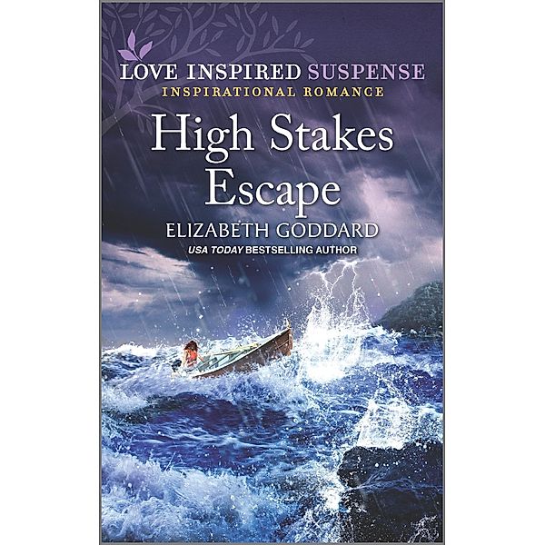 High Stakes Escape / Mount Shasta Secrets Bd.4, Elizabeth Goddard