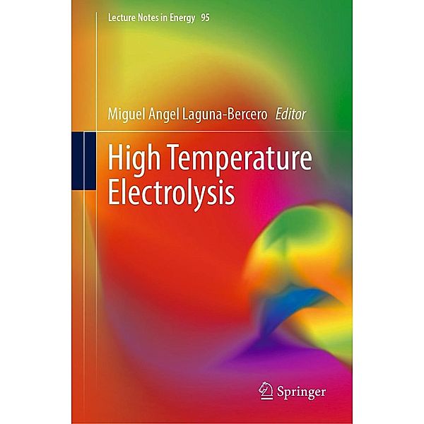 High Temperature Electrolysis / Lecture Notes in Energy Bd.95