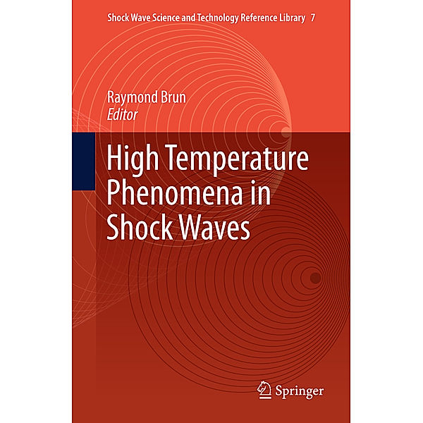 High Temperature Phenomena in Shock Waves