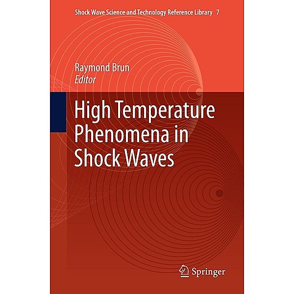 High Temperature Phenomena in Shock Waves / Shock Wave Science and Technology Reference Library Bd.7