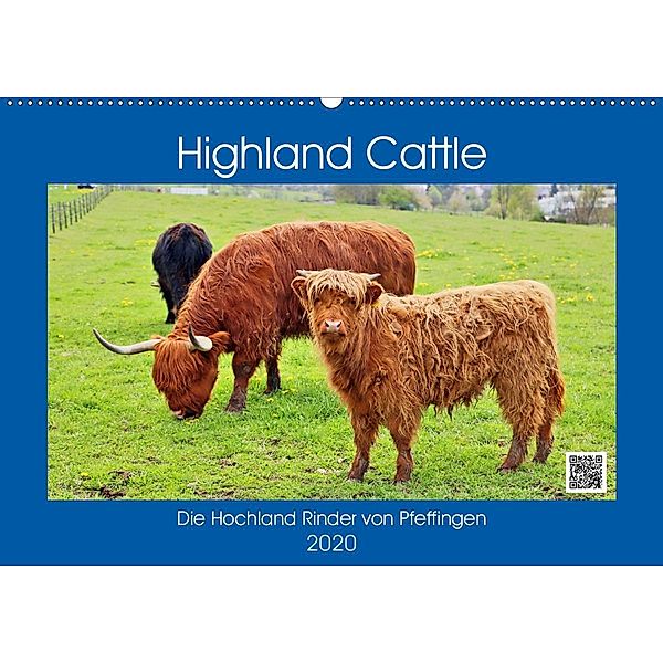 Highland Cattle, die Hochlandrinder aus Pfeffingen (Wandkalender 2020 DIN A2 quer), Günther Geiger