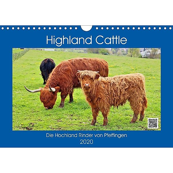 Highland Cattle, die Hochlandrinder aus Pfeffingen (Wandkalender 2020 DIN A4 quer), Günther Geiger